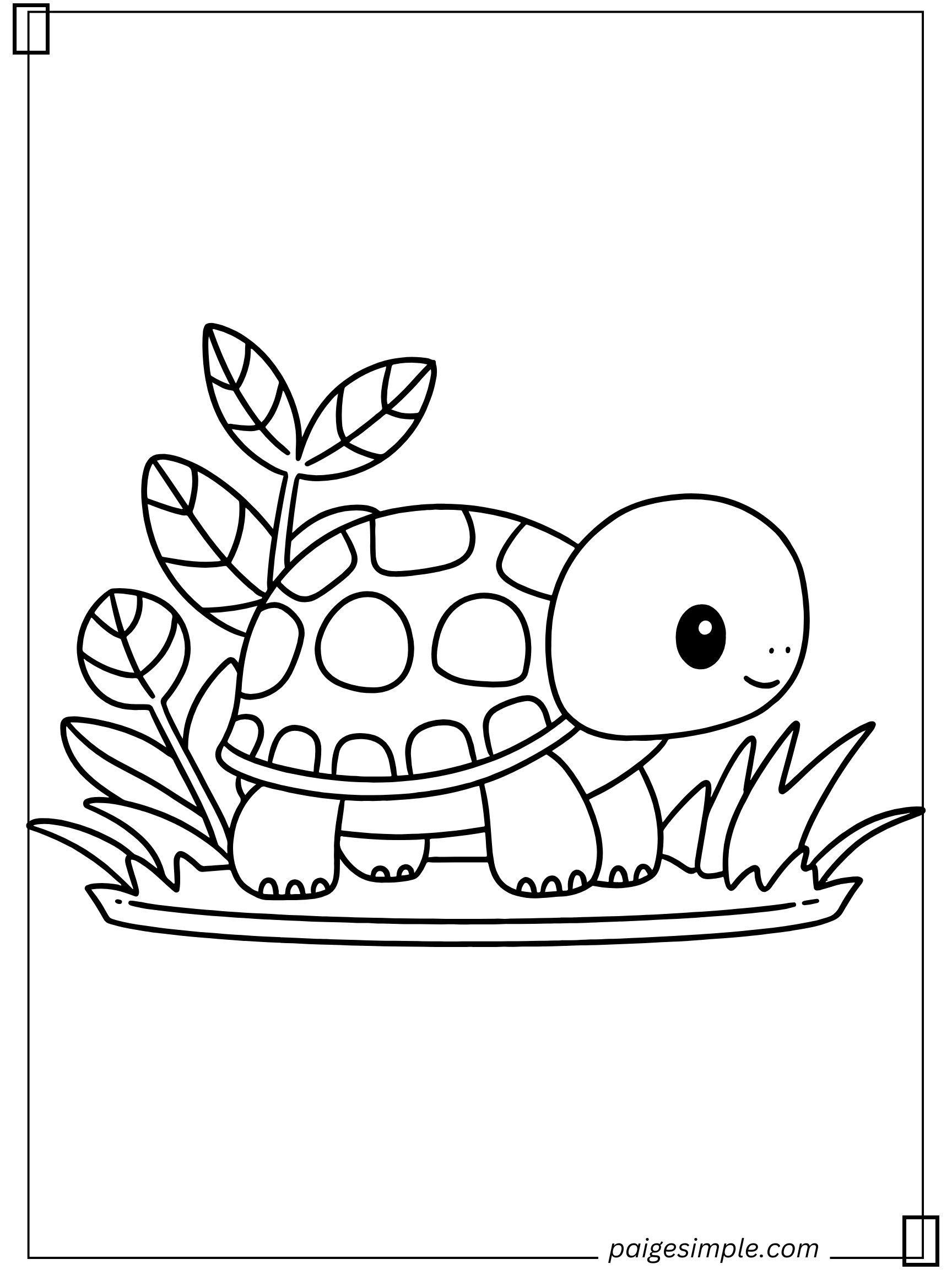 Turtle Coloring Page 10