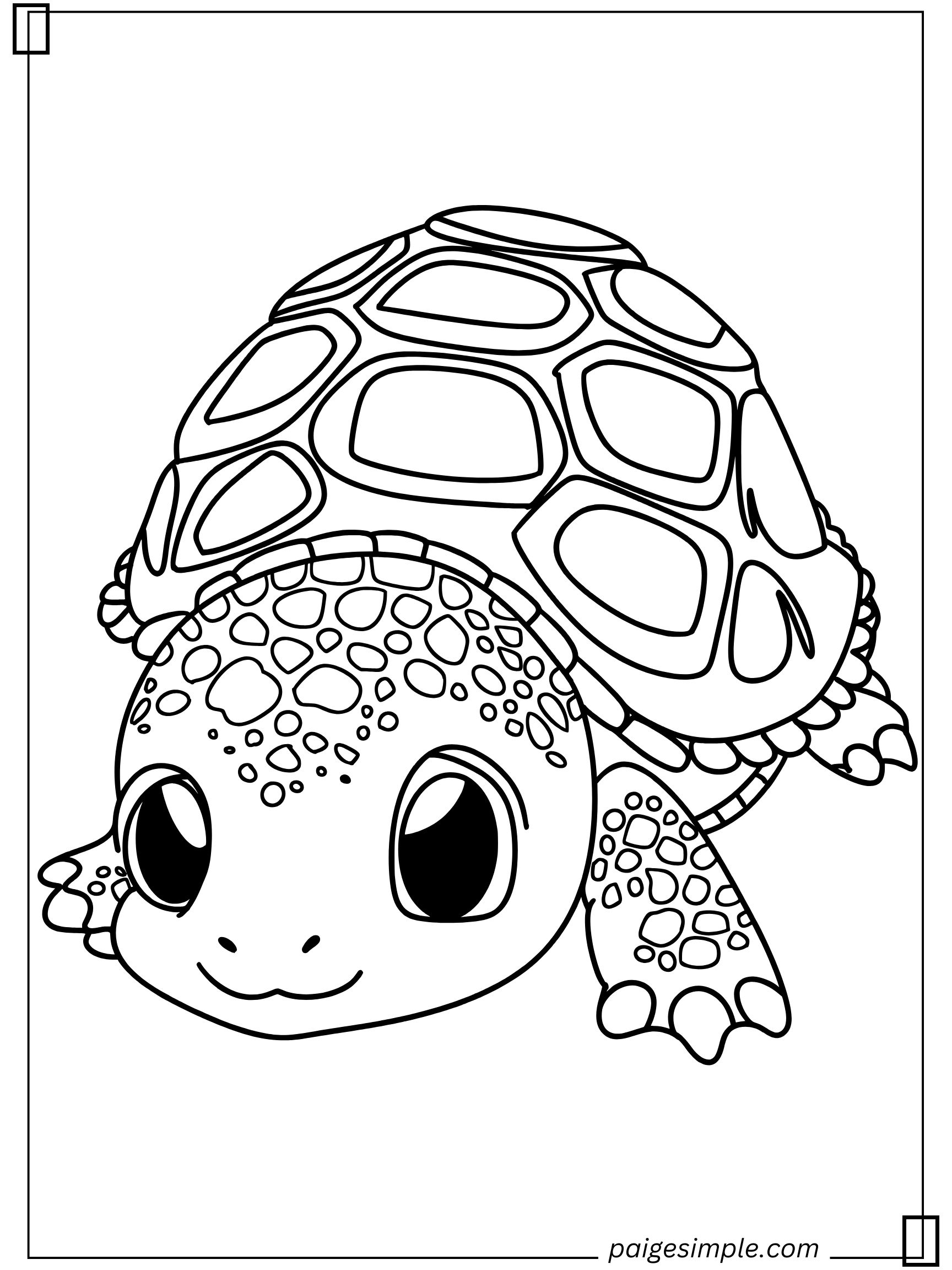 Turtle Coloring Page 15