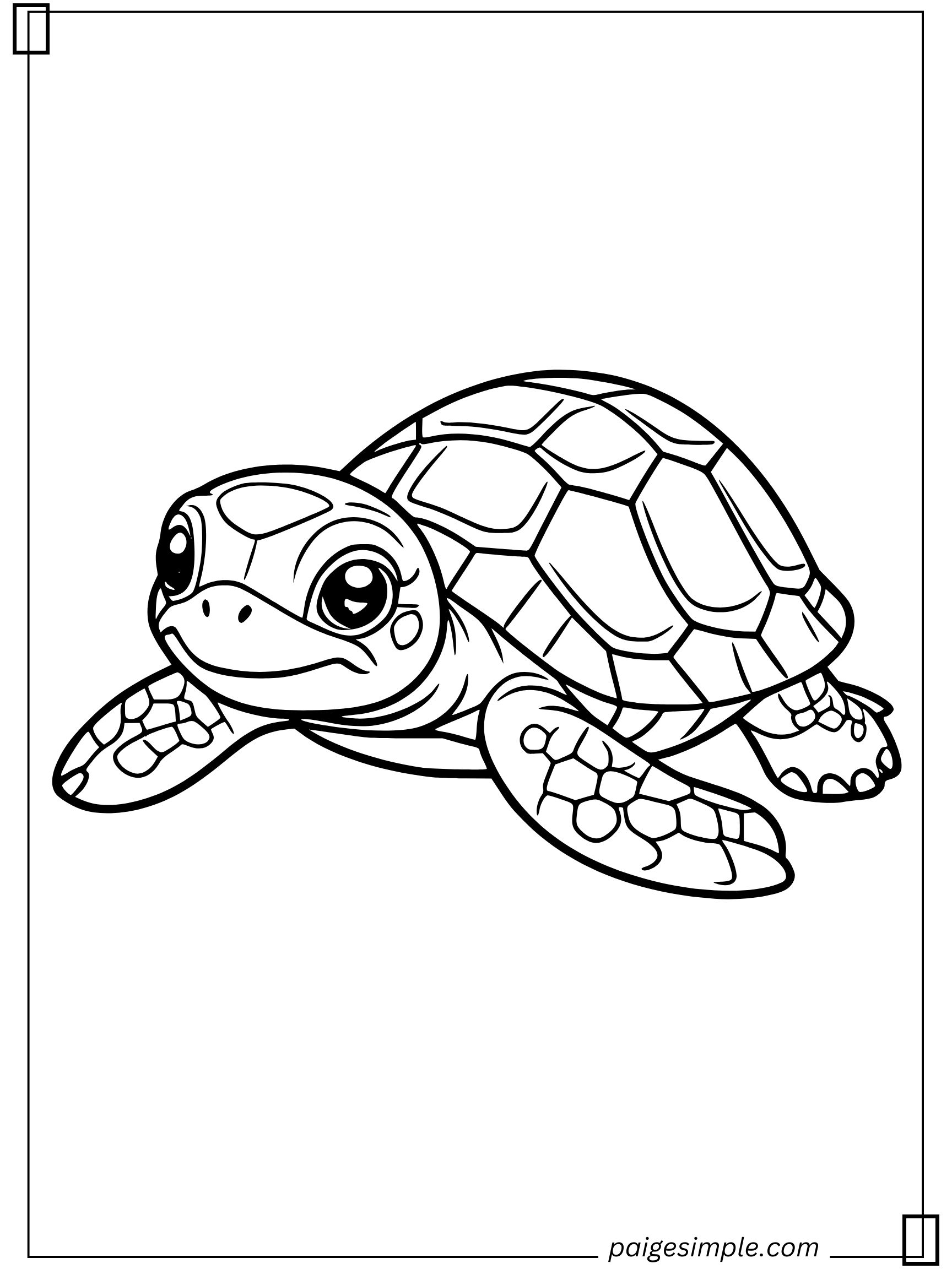 Turtle Coloring Page 17