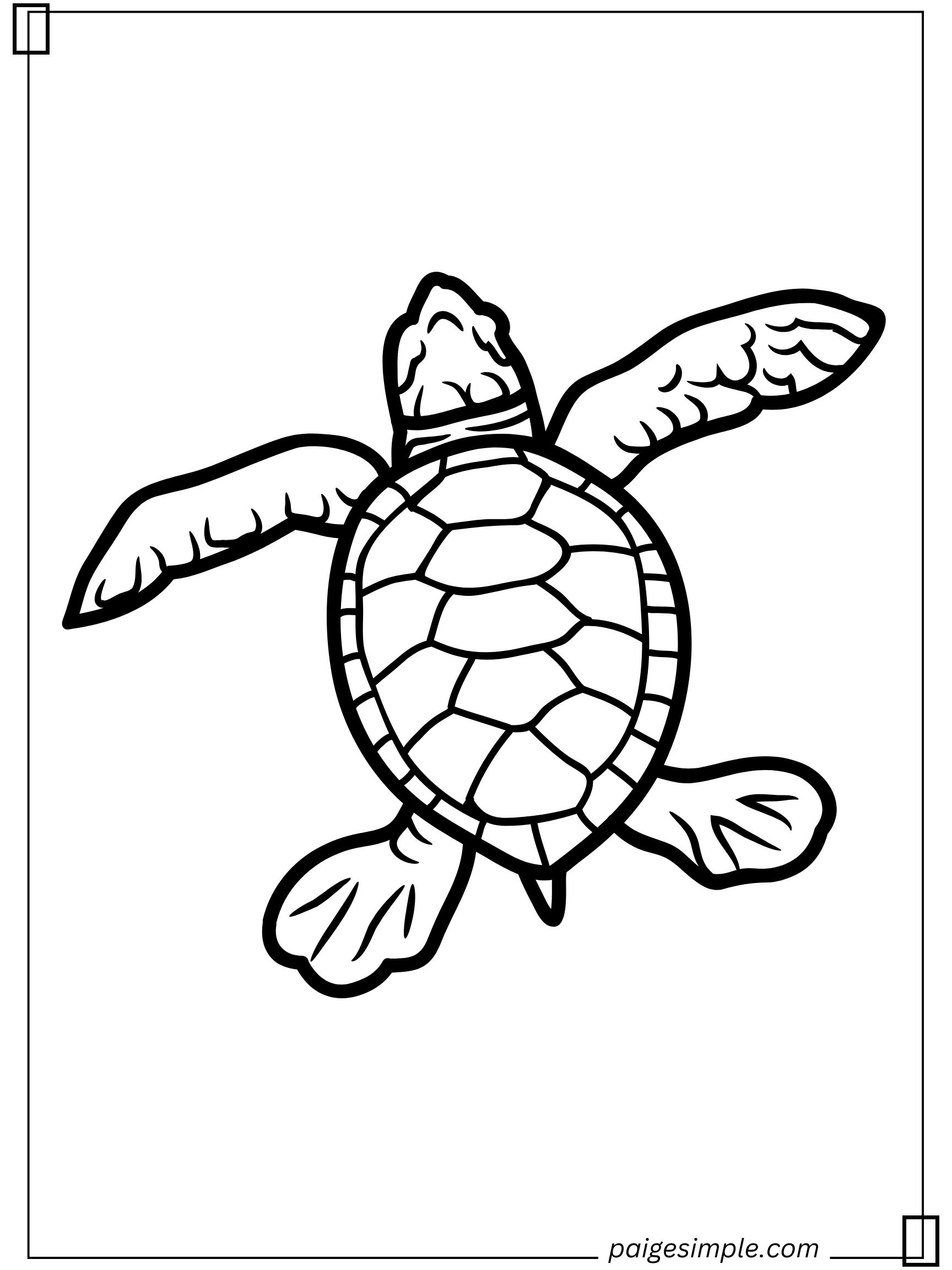 Turtle Coloring Page 2