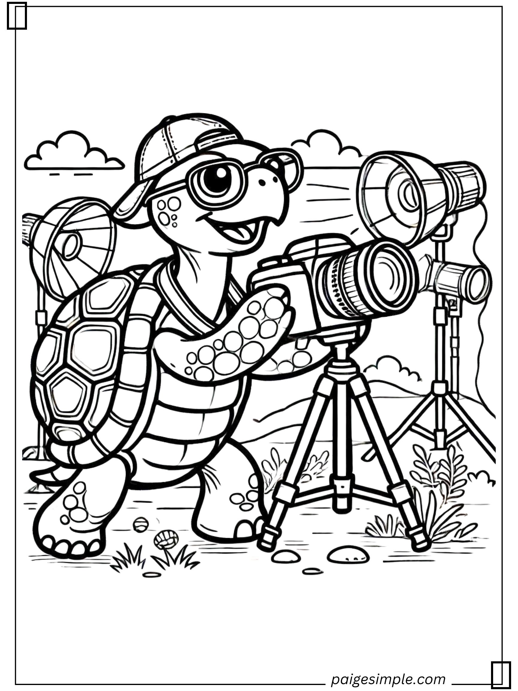 Turtle Coloring Page 27