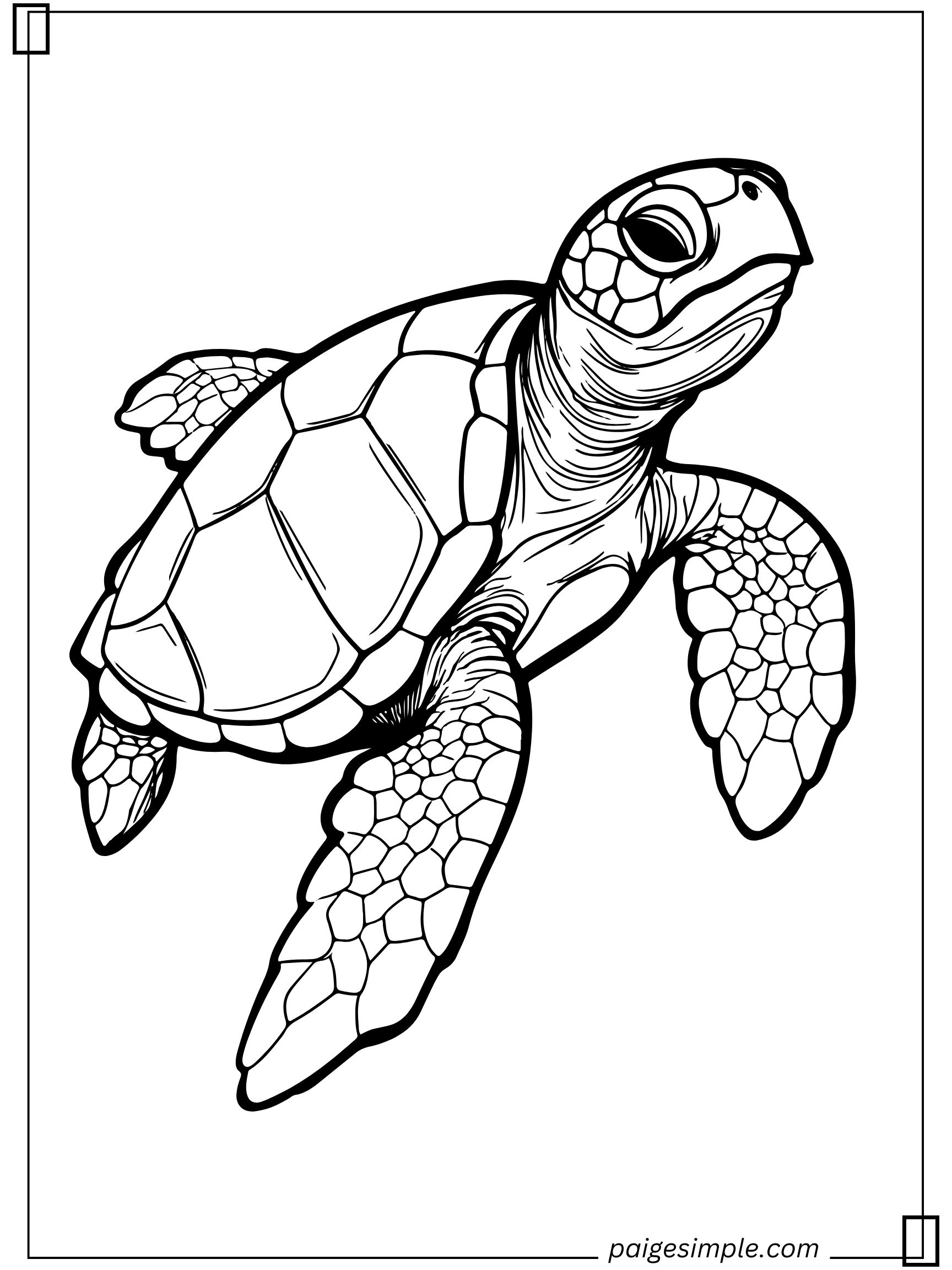 Turtle Coloring Page 3