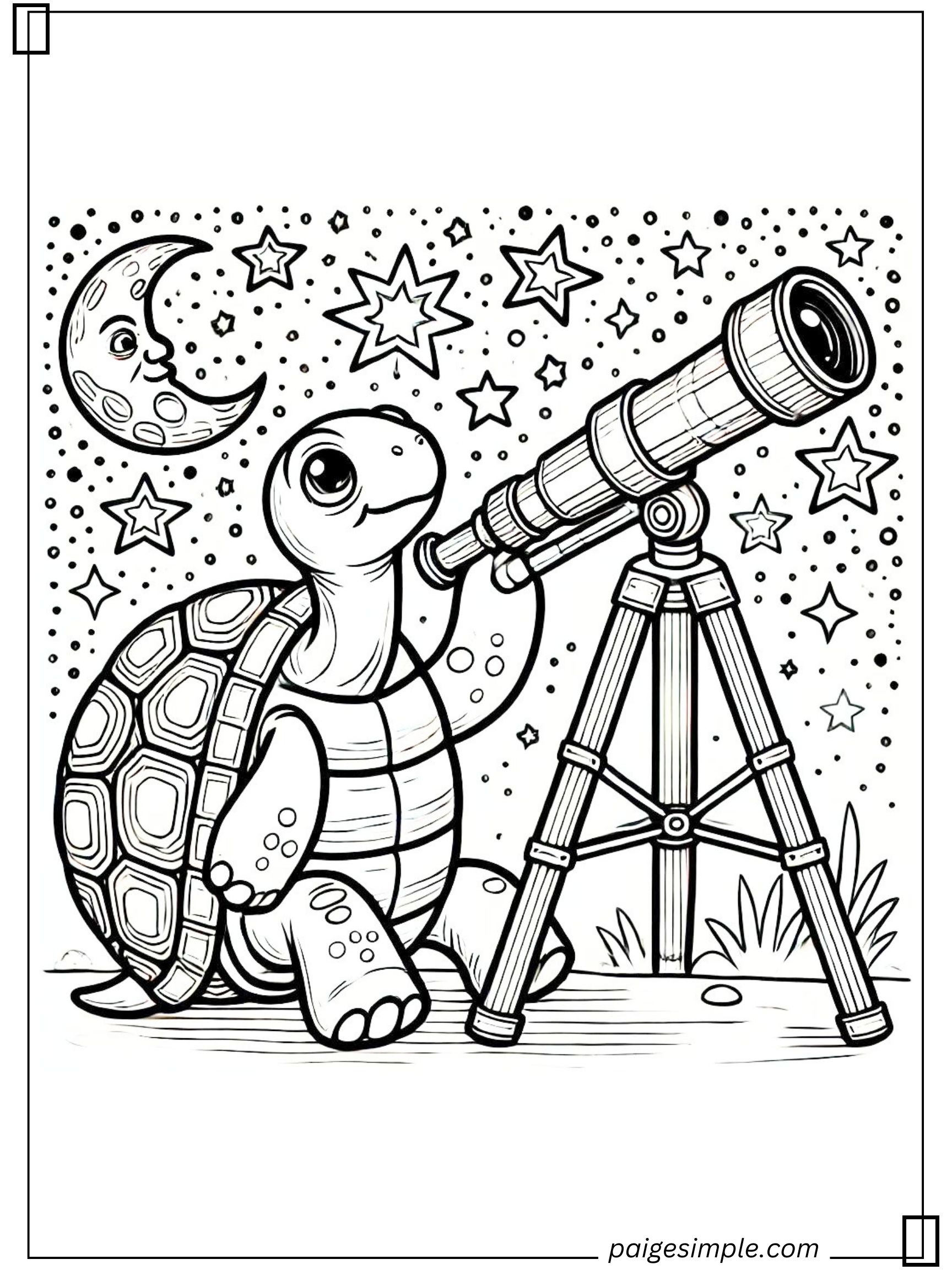 Turtle Coloring Page 39