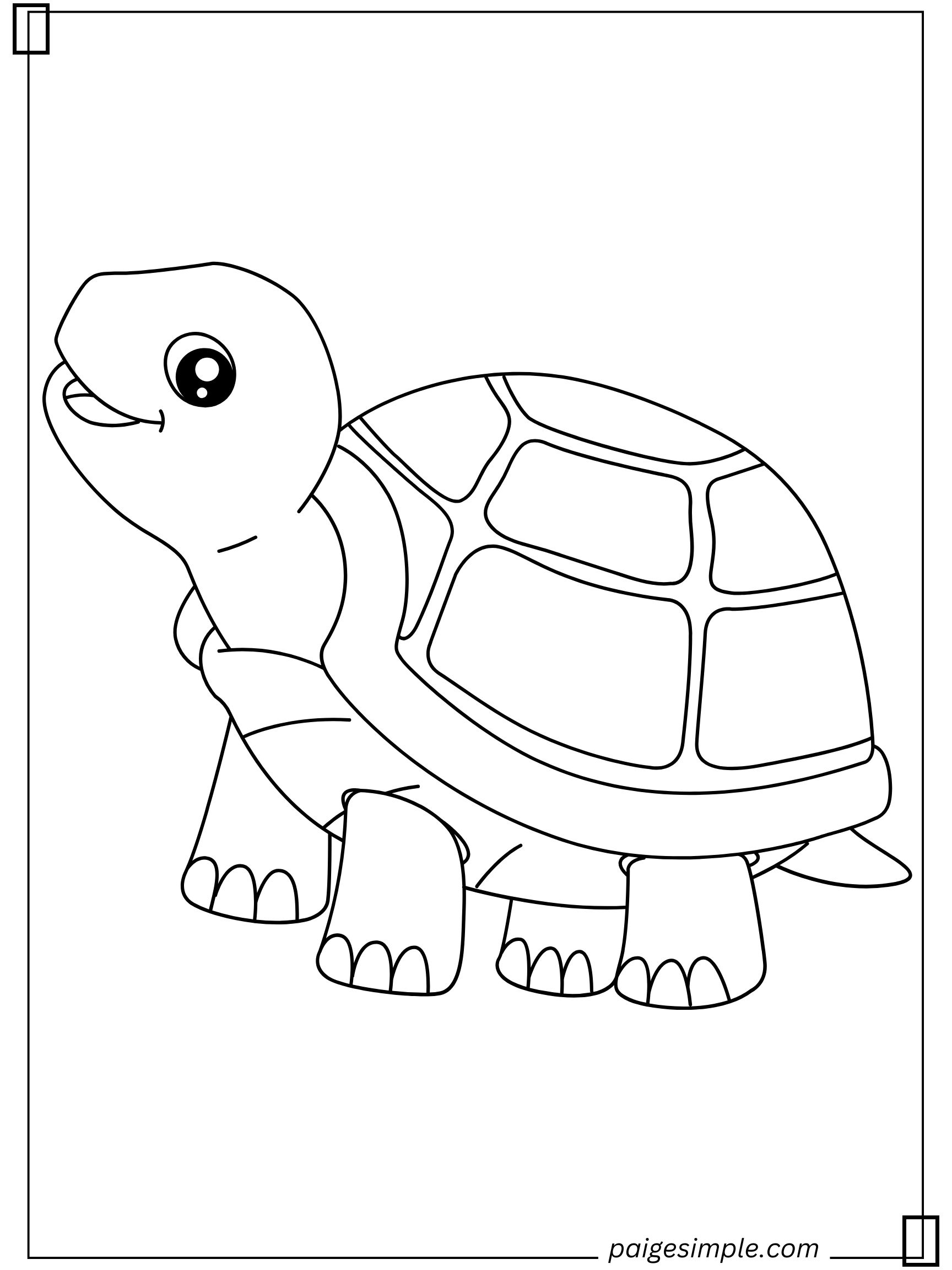 Turtle Coloring Page 4