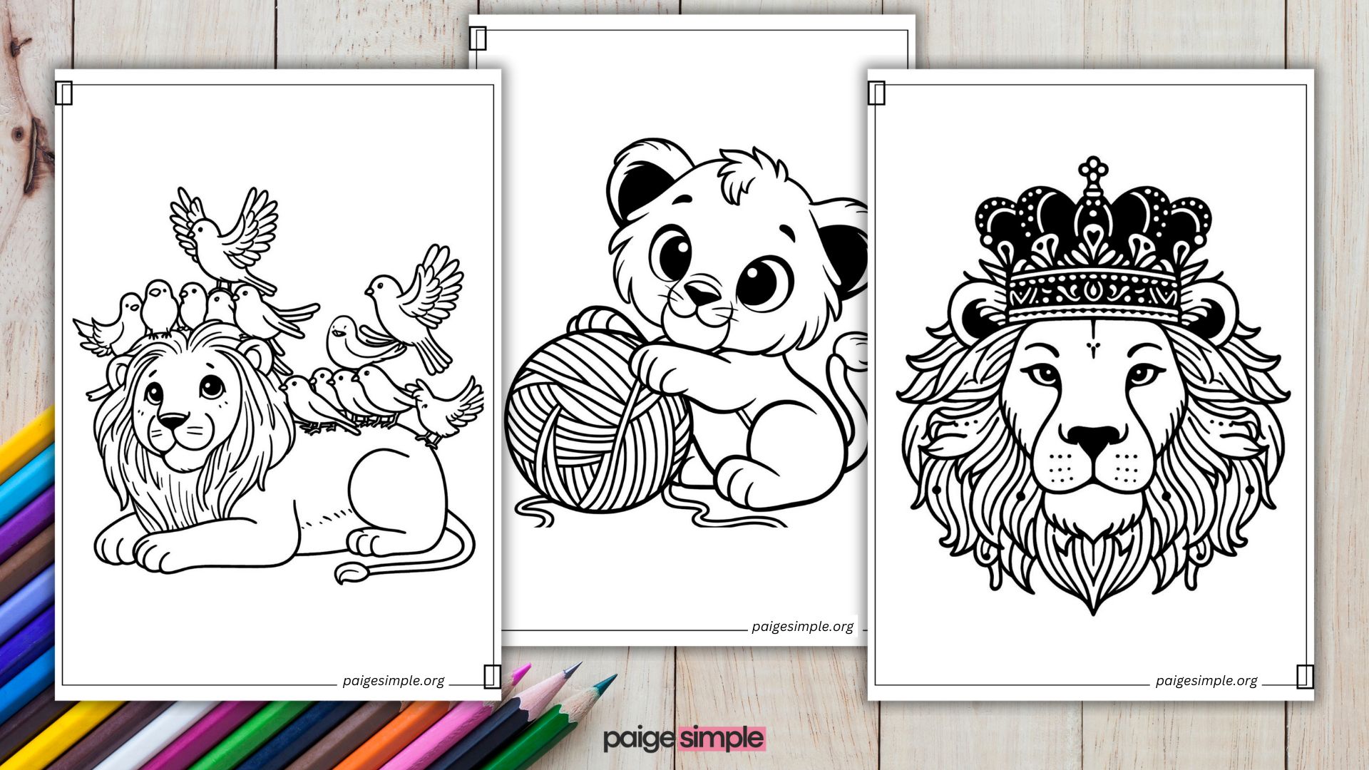 paigesimple Lion Coloring Pages Feature Image