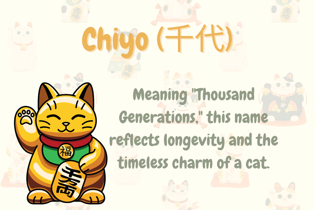 Popular Japanese Cat Names for Girls