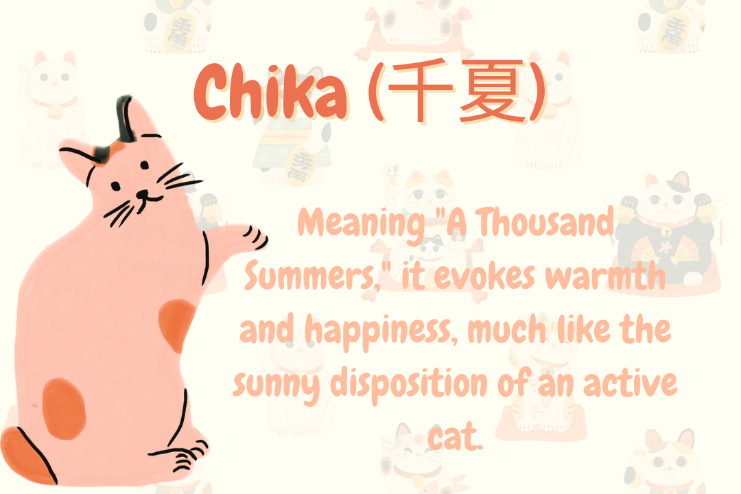 Popular Japanese Cat Names for Girls