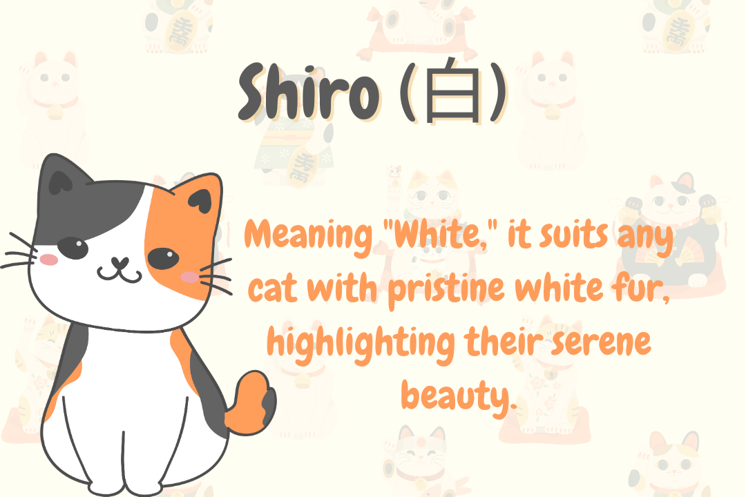 Gender-Neutral Japanese Cat Names