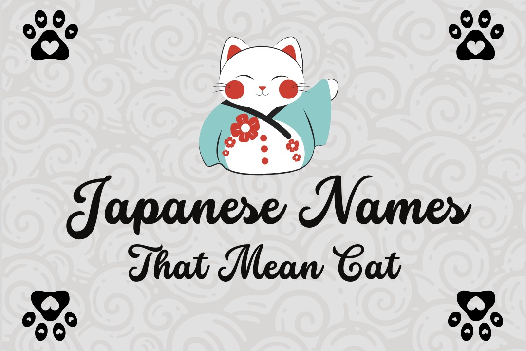 84+ Japanese Names That Mean Cat For [Boys & Girls]